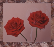 Crisis-Roses copy